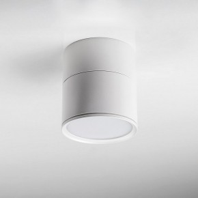 Накладной светильник Lightstar Acuto 215886 в Муравленко - muravlenko.ok-mebel.com | фото 3
