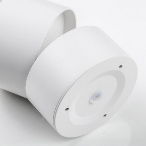 Накладной светильник Lightstar Acuto 215886 в Муравленко - muravlenko.ok-mebel.com | фото 6