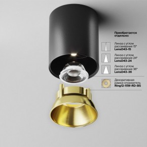 Накладной светильник Maytoni Alfa LED C064CL-12W4K-RD-B в Муравленко - muravlenko.ok-mebel.com | фото 3