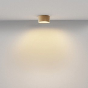 Накладной светильник Maytoni Zon C032CL-12W2.7K-RD-MG в Муравленко - muravlenko.ok-mebel.com | фото 4