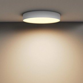 Накладной светильник Maytoni Zon C032CL-45W2.7K-RD-W в Муравленко - muravlenko.ok-mebel.com | фото 4