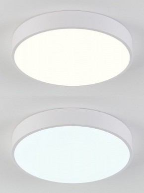 Накладной светильник Natali Kovaltseva  LED LAMPS 81111/5C в Муравленко - muravlenko.ok-mebel.com | фото 4