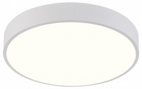Накладной светильник Natali Kovaltseva  LED LAMPS 81112/5C в Муравленко - muravlenko.ok-mebel.com | фото