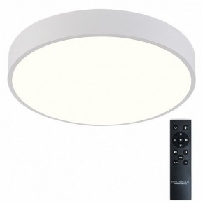 Накладной светильник Natali Kovaltseva  LED LAMPS 81112/5C в Муравленко - muravlenko.ok-mebel.com | фото 2
