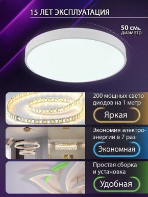 Накладной светильник Natali Kovaltseva  LED LAMPS 81112/5C в Муравленко - muravlenko.ok-mebel.com | фото 4