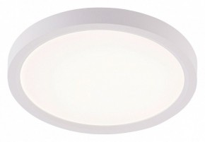 Накладной светильник Natali Kovaltseva PLAIN LED LAMPS 81113/1C в Муравленко - muravlenko.ok-mebel.com | фото