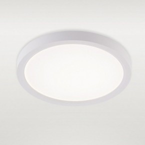 Накладной светильник Natali Kovaltseva PLAIN LED LAMPS 81113/1C в Муравленко - muravlenko.ok-mebel.com | фото 2
