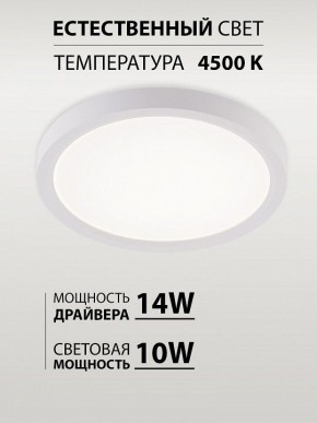 Накладной светильник Natali Kovaltseva PLAIN LED LAMPS 81113/1C в Муравленко - muravlenko.ok-mebel.com | фото 4