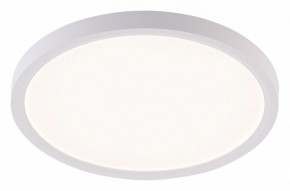 Накладной светильник Natali Kovaltseva PLAIN LED LAMPS 81113/2C в Муравленко - muravlenko.ok-mebel.com | фото