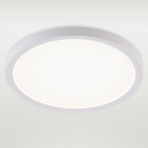 Накладной светильник Natali Kovaltseva PLAIN LED LAMPS 81113/2C в Муравленко - muravlenko.ok-mebel.com | фото 2