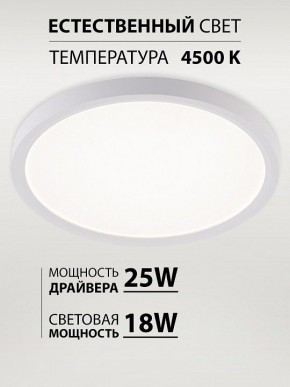 Накладной светильник Natali Kovaltseva PLAIN LED LAMPS 81113/2C в Муравленко - muravlenko.ok-mebel.com | фото 3