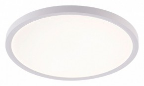 Накладной светильник Natali Kovaltseva PLAIN LED LAMPS 81113/3C в Муравленко - muravlenko.ok-mebel.com | фото