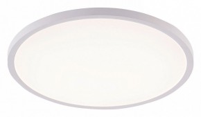Накладной светильник Natali Kovaltseva PLAIN LED LAMPS 81113/4C в Муравленко - muravlenko.ok-mebel.com | фото