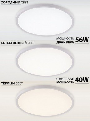 Накладной светильник Natali Kovaltseva PLAIN LED LAMPS 81113/5C в Муравленко - muravlenko.ok-mebel.com | фото 3