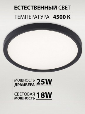 Накладной светильник Natali Kovaltseva PLAIN LED LAMPS 81114/2C в Муравленко - muravlenko.ok-mebel.com | фото 3