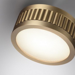 Накладной светильник Odeon Light Manchester 7013/7CL в Муравленко - muravlenko.ok-mebel.com | фото 5