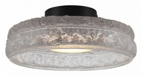 Накладной светильник ST-Luce ANTIKE SL6143.402.01 в Муравленко - muravlenko.ok-mebel.com | фото 2