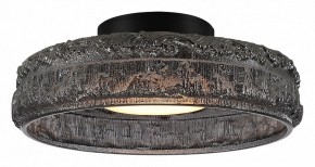 Накладной светильник ST-Luce ANTIKE SL6143.412.01 в Муравленко - muravlenko.ok-mebel.com | фото 2