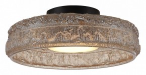 Накладной светильник ST-Luce ANTIKE SL6143.422.01 в Муравленко - muravlenko.ok-mebel.com | фото 3