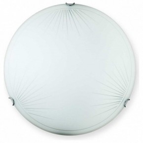 Накладной светильник TopLight Wifa TL9142Y-00WH в Муравленко - muravlenko.ok-mebel.com | фото