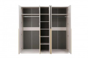 НИКОЛЬ 25 Шкаф 5-ти створчатый в Муравленко - muravlenko.ok-mebel.com | фото 3