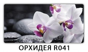 Обеденный стол Паук с фотопечатью узор Лайм R156 в Муравленко - muravlenko.ok-mebel.com | фото 20