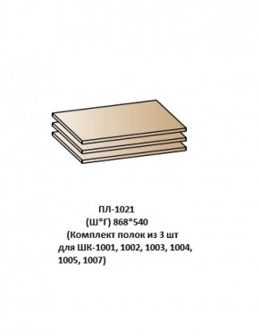 ПЛ-1021 (Комплект полок из 3 шт для ШК-1001, 1002, 1003, 1004, 1005, 1007) в Муравленко - muravlenko.ok-mebel.com | фото
