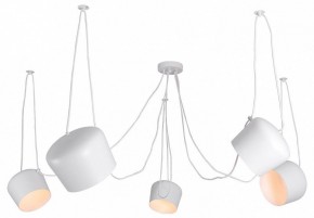 Подвесная люстра Lussole Shirley LSP-8175 в Муравленко - muravlenko.ok-mebel.com | фото