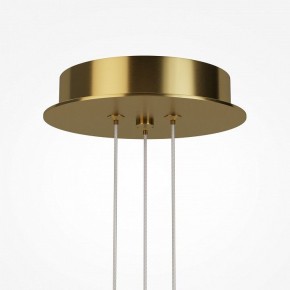 Подвесная люстра Maytoni Arana MOD401PL-L108BS3K в Муравленко - muravlenko.ok-mebel.com | фото 7