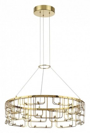 Подвесная люстра Odeon Light ZAHA 7060/44L в Муравленко - muravlenko.ok-mebel.com | фото 2