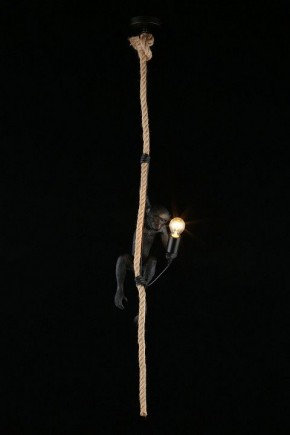 Подвесной светильник Aployt Magali APL.309.16.01 в Муравленко - muravlenko.ok-mebel.com | фото 3