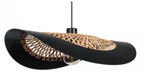Подвесной светильник Arte Lamp Woodstock A7059SP-1BK в Муравленко - muravlenko.ok-mebel.com | фото