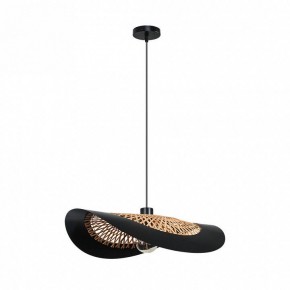 Подвесной светильник Arte Lamp Woodstock A7059SP-1BK в Муравленко - muravlenko.ok-mebel.com | фото 2