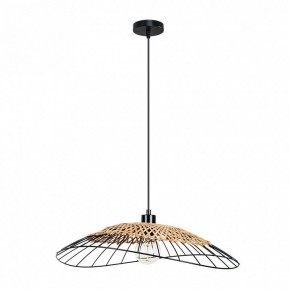 Подвесной светильник Arte Lamp Woodstock A7061SP-1BK в Муравленко - muravlenko.ok-mebel.com | фото 2