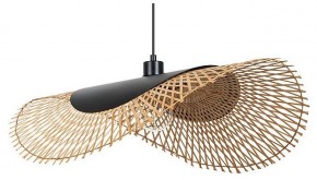 Подвесной светильник Arte Lamp Woodstock A7063SP-1BK в Муравленко - muravlenko.ok-mebel.com | фото