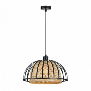 Подвесной светильник Arte Lamp Woodstock A7071SP-1BK в Муравленко - muravlenko.ok-mebel.com | фото