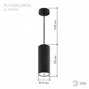 Подвесной светильник Эра  PL12 GX53 BK/SL в Муравленко - muravlenko.ok-mebel.com | фото 8