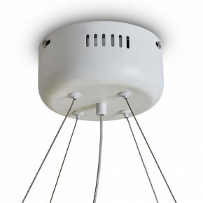 Подвесной светильник Freya Rain FR5546PL-L60W в Муравленко - muravlenko.ok-mebel.com | фото 9