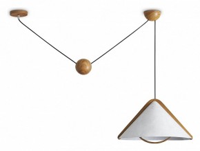 Подвесной светильник Freya Umbra FR5554CL-01T в Муравленко - muravlenko.ok-mebel.com | фото