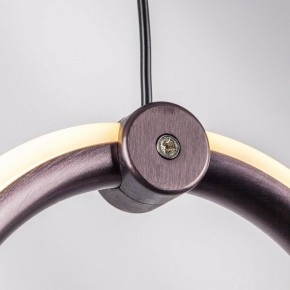 Подвесной светильник Lightstar Caramello 796349 в Муравленко - muravlenko.ok-mebel.com | фото 10