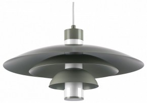 Подвесной светильник Lightstar Erbareo 799019 в Муравленко - muravlenko.ok-mebel.com | фото