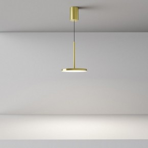 Подвесной светильник Maytoni Plato P076PL-L12W4K-BS в Муравленко - muravlenko.ok-mebel.com | фото 4
