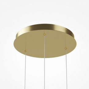 Подвесной светильник Maytoni Sirocco MOD359PL-L17BS3K в Муравленко - muravlenko.ok-mebel.com | фото 6