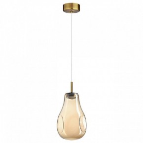 Подвесной светильник Odeon Light Nave 5098/4L в Муравленко - muravlenko.ok-mebel.com | фото 4