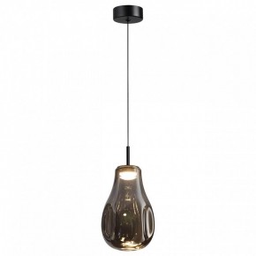 Подвесной светильник Odeon Light Nave 5098/4LC в Муравленко - muravlenko.ok-mebel.com | фото 2