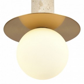 Подвесной светильник ST-Luce Earthy SL1194.303.01 в Муравленко - muravlenko.ok-mebel.com | фото 5