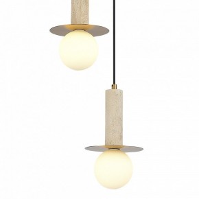 Подвесной светильник ST-Luce Earthy SL1194.303.03 в Муравленко - muravlenko.ok-mebel.com | фото 4