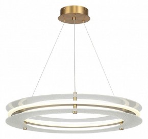 Подвесной светильник ST-Luce FAGY SL6245.203.01 в Муравленко - muravlenko.ok-mebel.com | фото 2