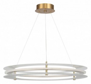 Подвесной светильник ST-Luce FAGY SL6245.203.01 в Муравленко - muravlenko.ok-mebel.com | фото 3