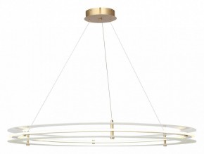 Подвесной светильник ST-Luce FAGY SL6245.213.01 в Муравленко - muravlenko.ok-mebel.com | фото 2